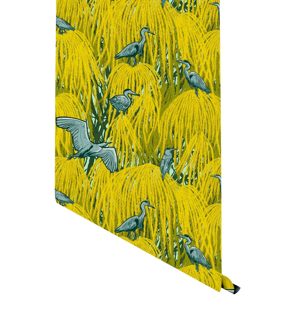 Egret - HD Wallpaper 