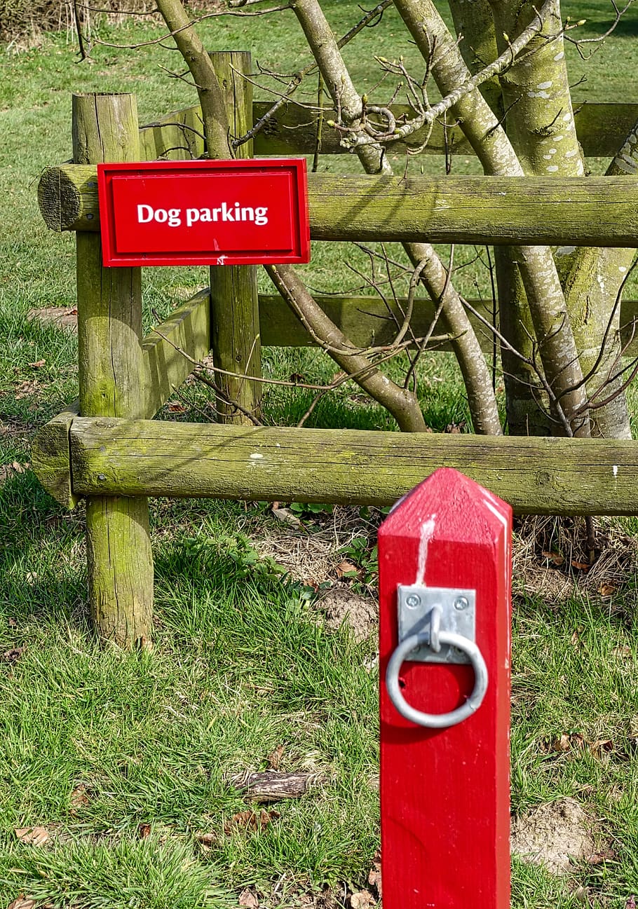 Sign, Symbol, Red, Canine, Pet, Dog, Tie Up, Communication, - Grass - HD Wallpaper 