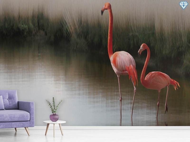 Photo Wallpaper Red Flamingo Ii - Greater Flamingo - HD Wallpaper 