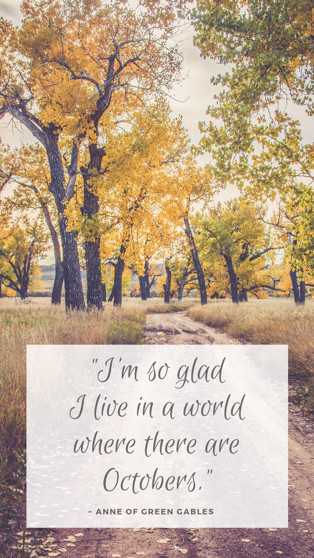 Jared And Tiffany - HD Wallpaper 