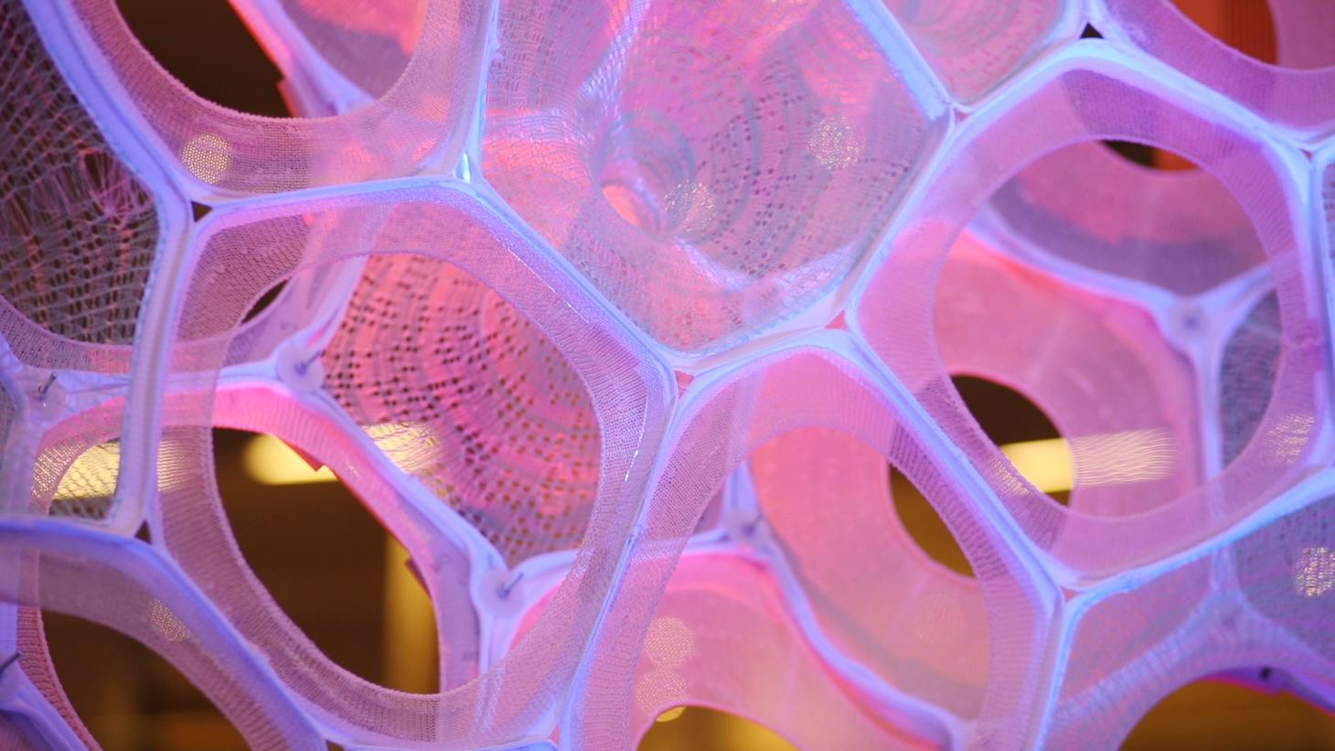 Ada Microsoft And Jenny Sabine Collaboration, Detail - Ada Microsoft - HD Wallpaper 