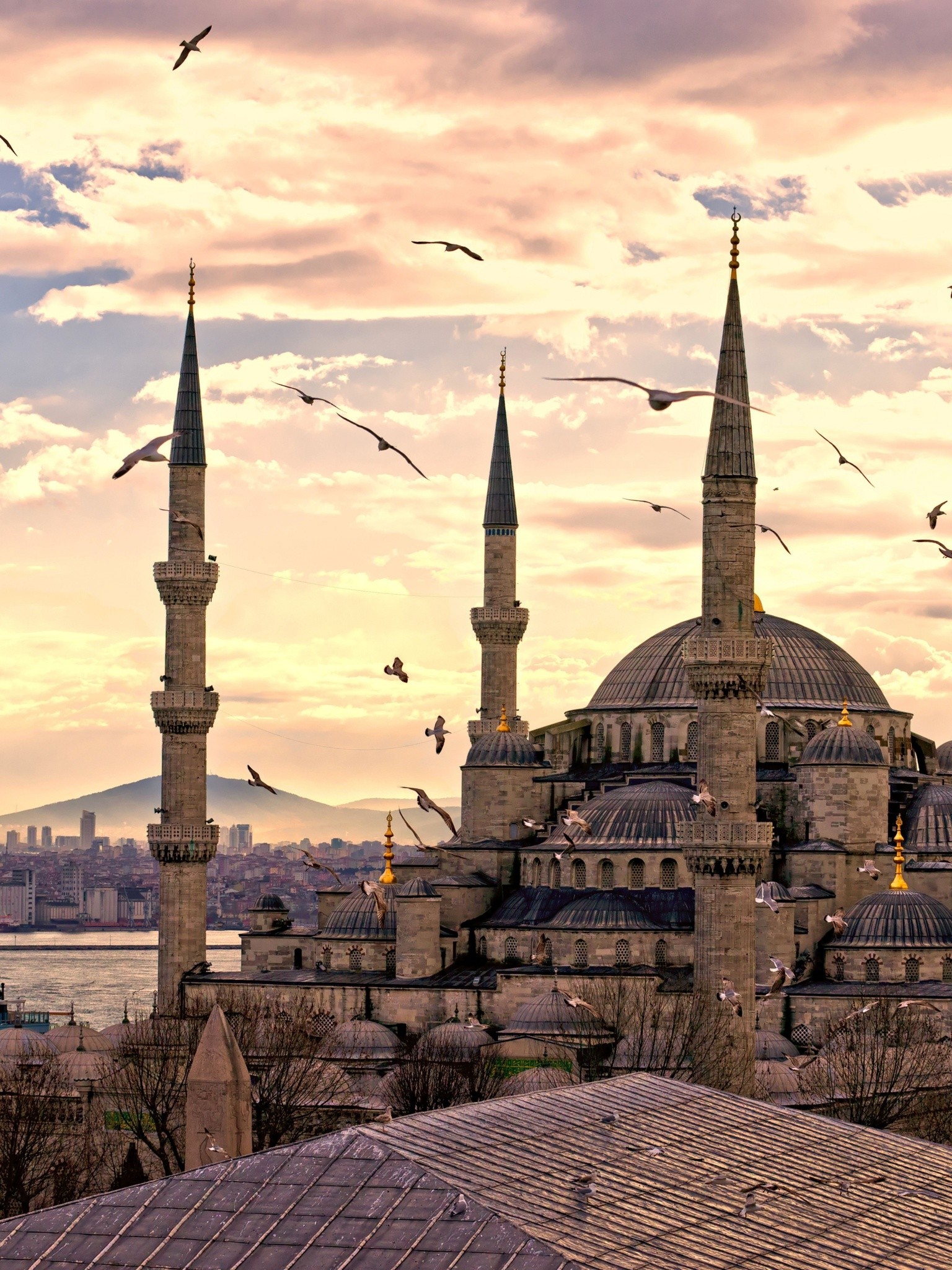 Sultan Ahmed Mosque - HD Wallpaper 