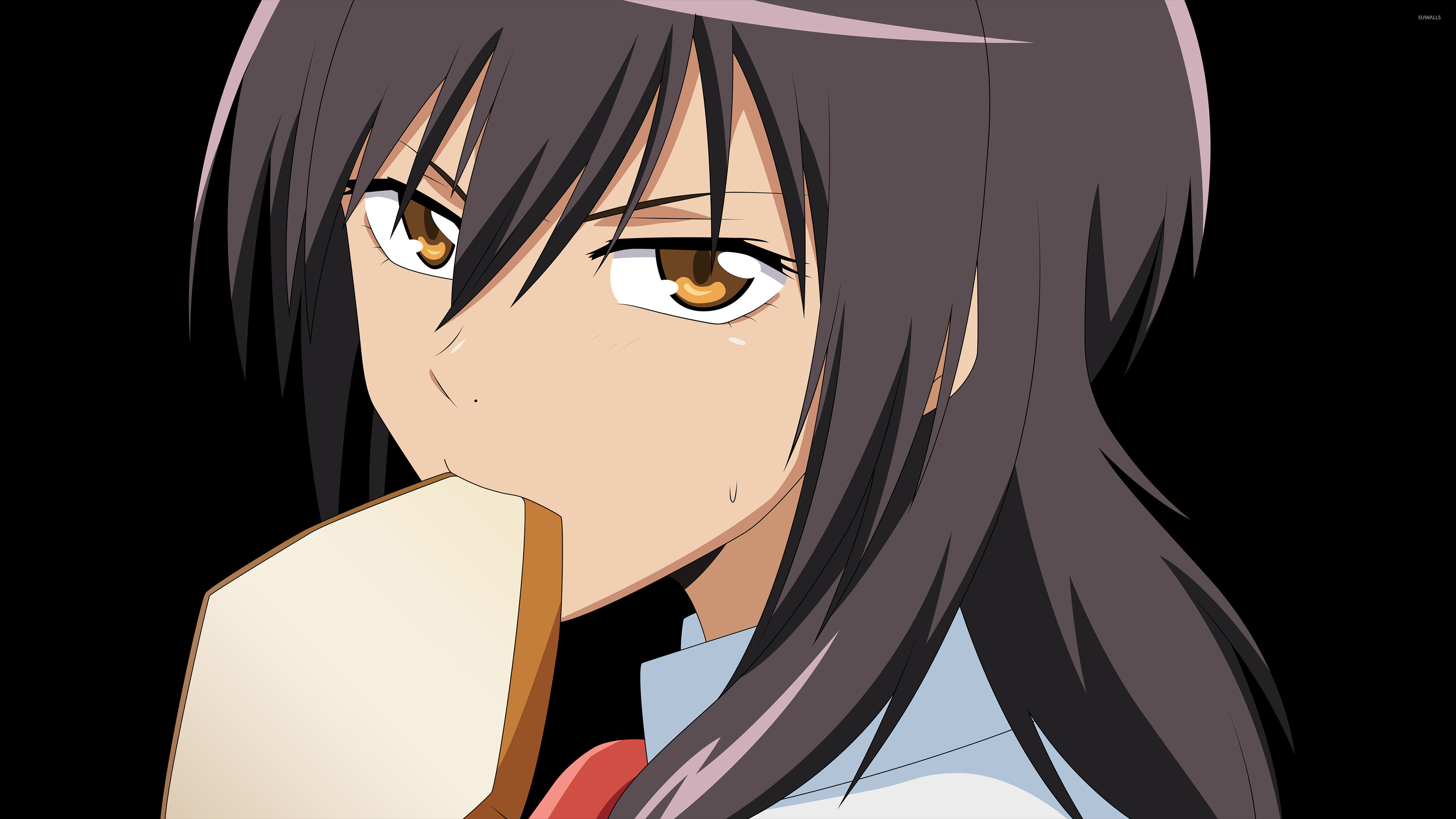 Misaki Anime Maid Sama - HD Wallpaper 