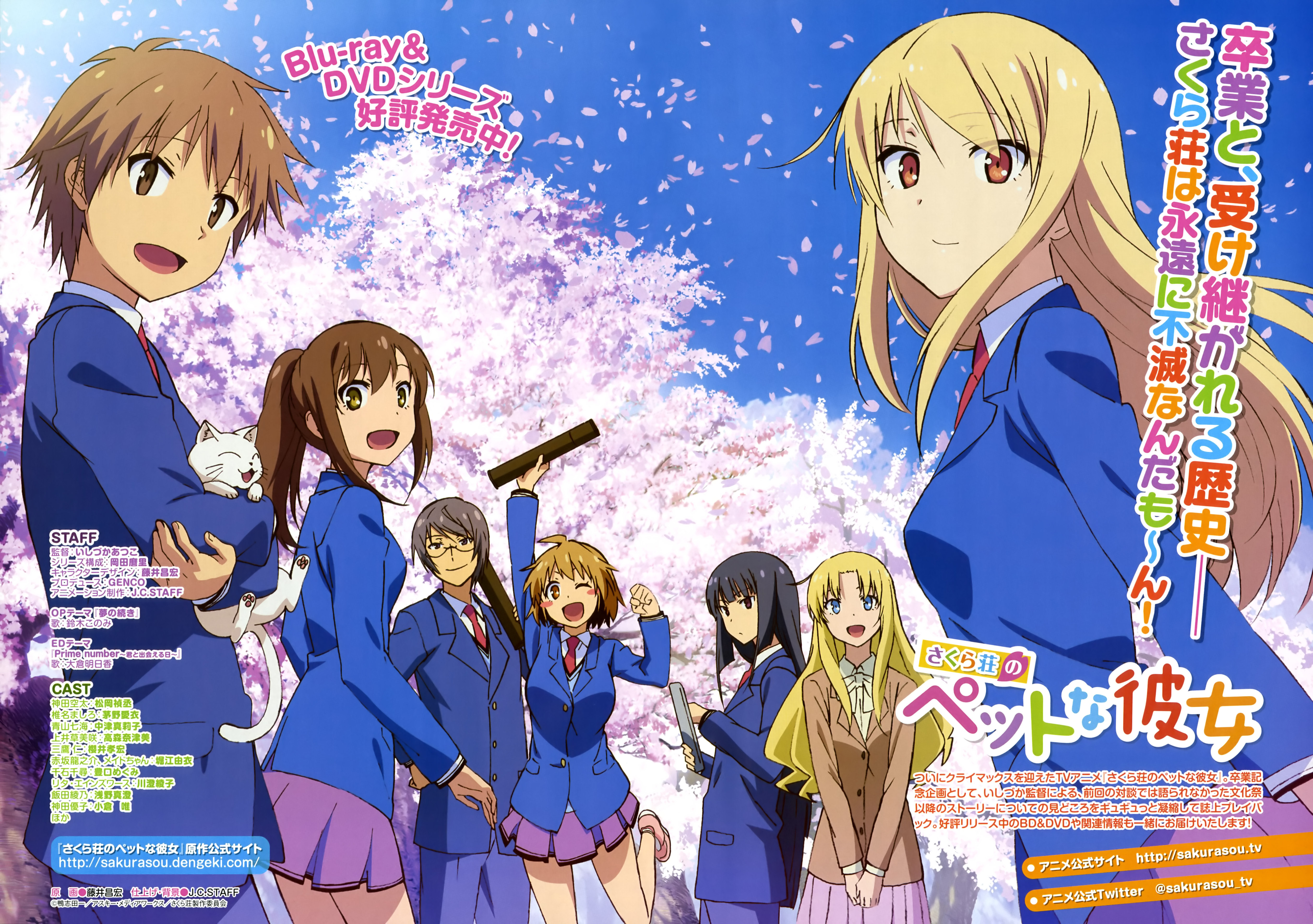 Sakurasou No Pet Na Kanojo - HD Wallpaper 