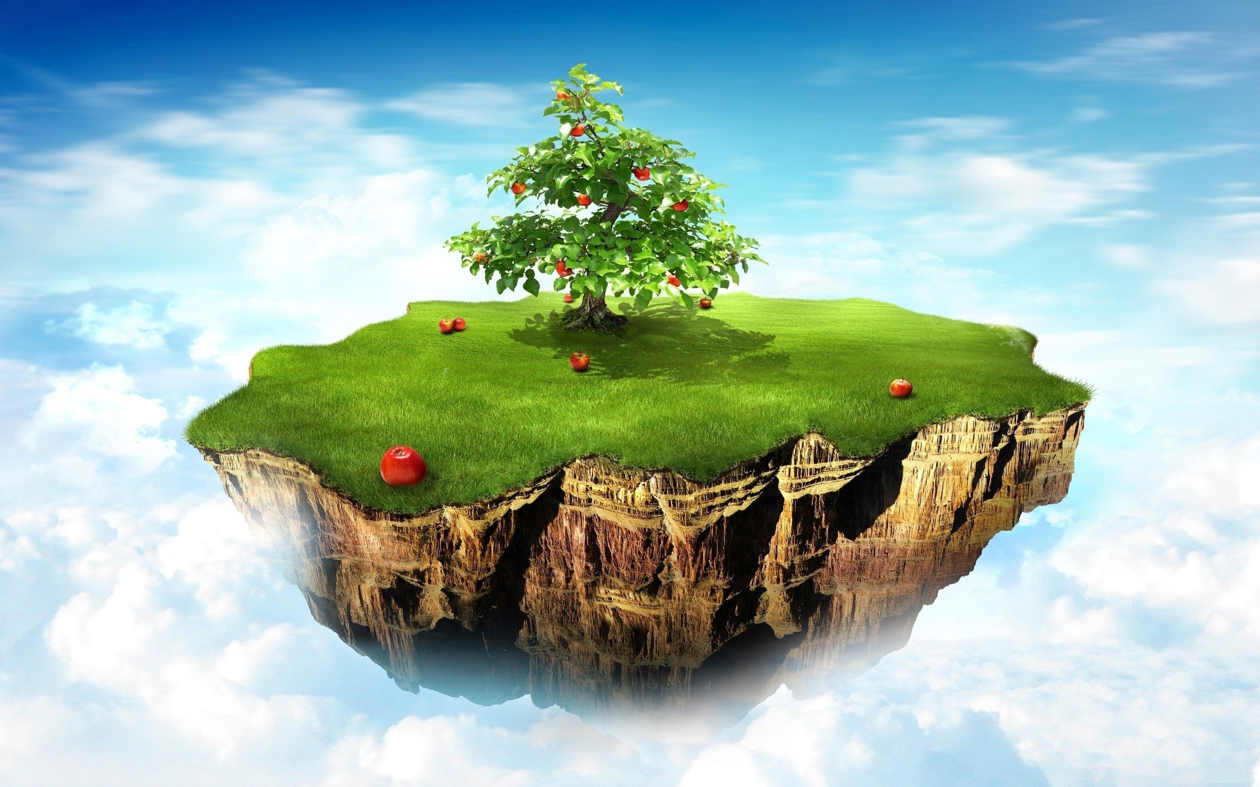2560x1600, Bild - Apple Tree On Island - HD Wallpaper 