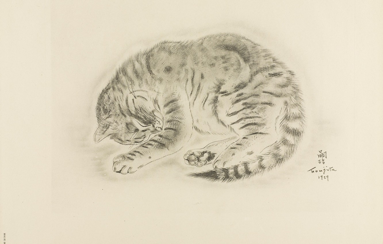 Photo Wallpaper 1929, Sleeping Cat, Tsuguharu, Fujita, - 藤田 嗣治 猫 絵 価格 - HD Wallpaper 