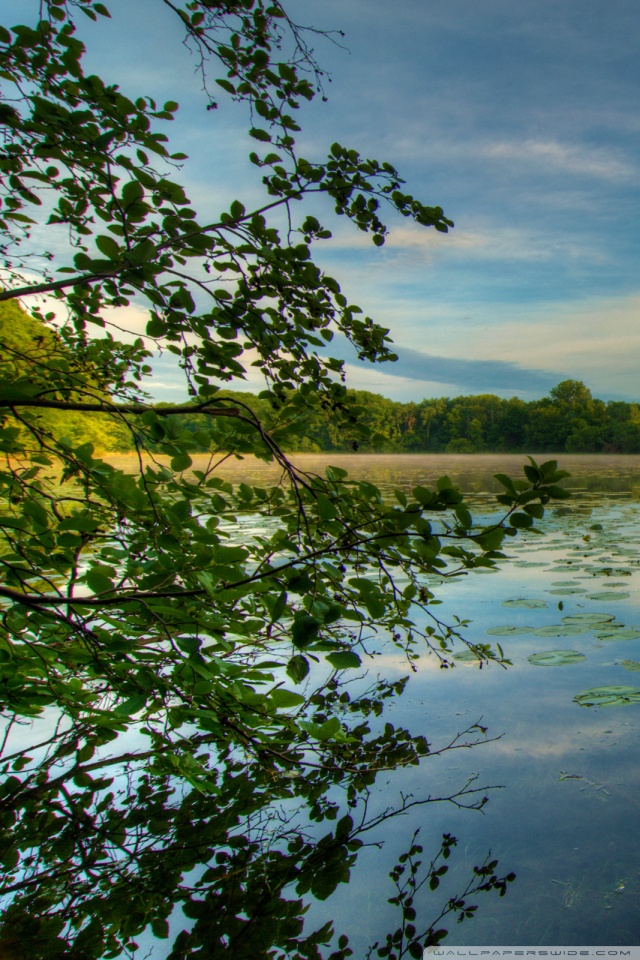 黎巴嫩 風景 - HD Wallpaper 