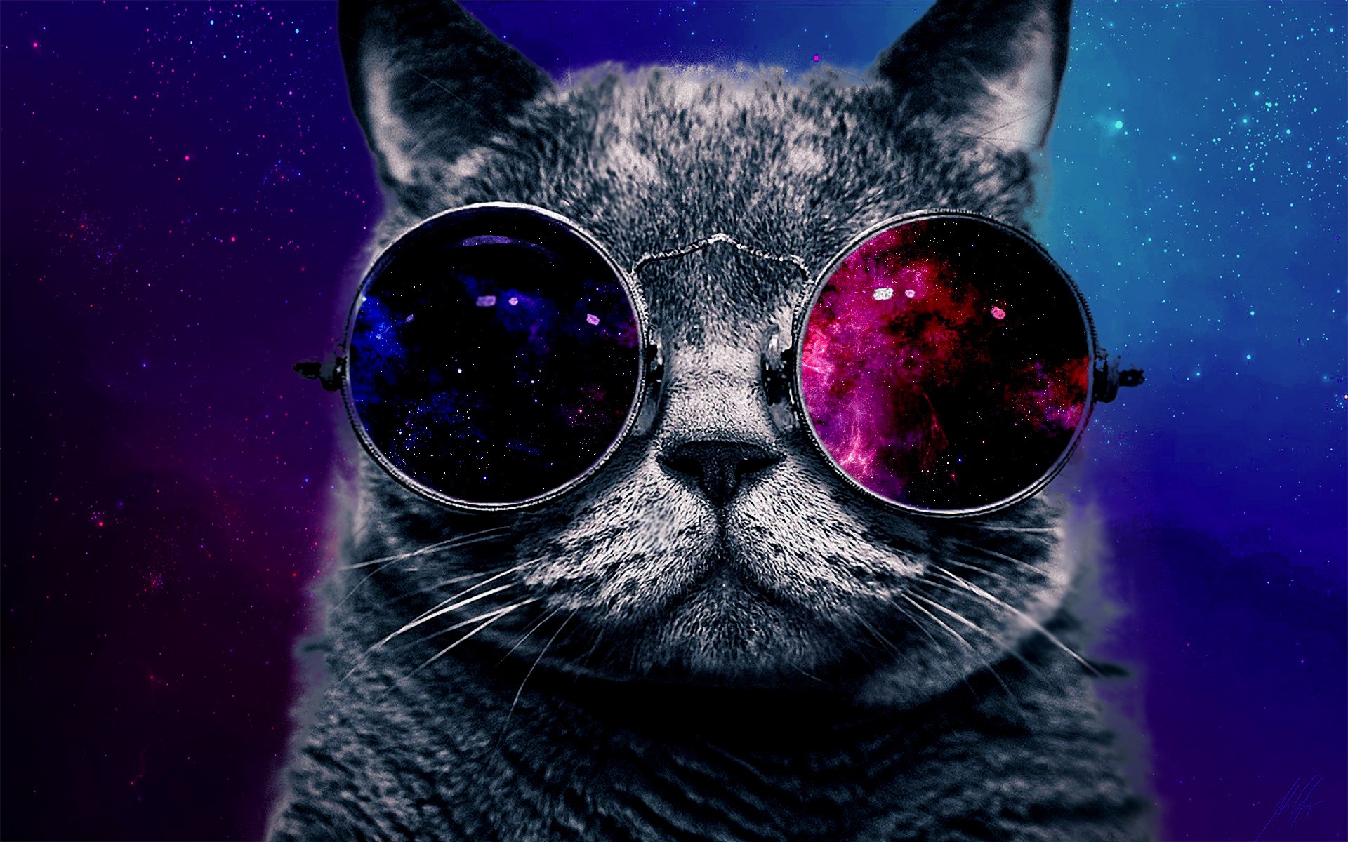 Cat Wearing Sunglasses Wallpaper High Cat With Sunglasses - Don T Touch My Computer - HD Wallpaper 