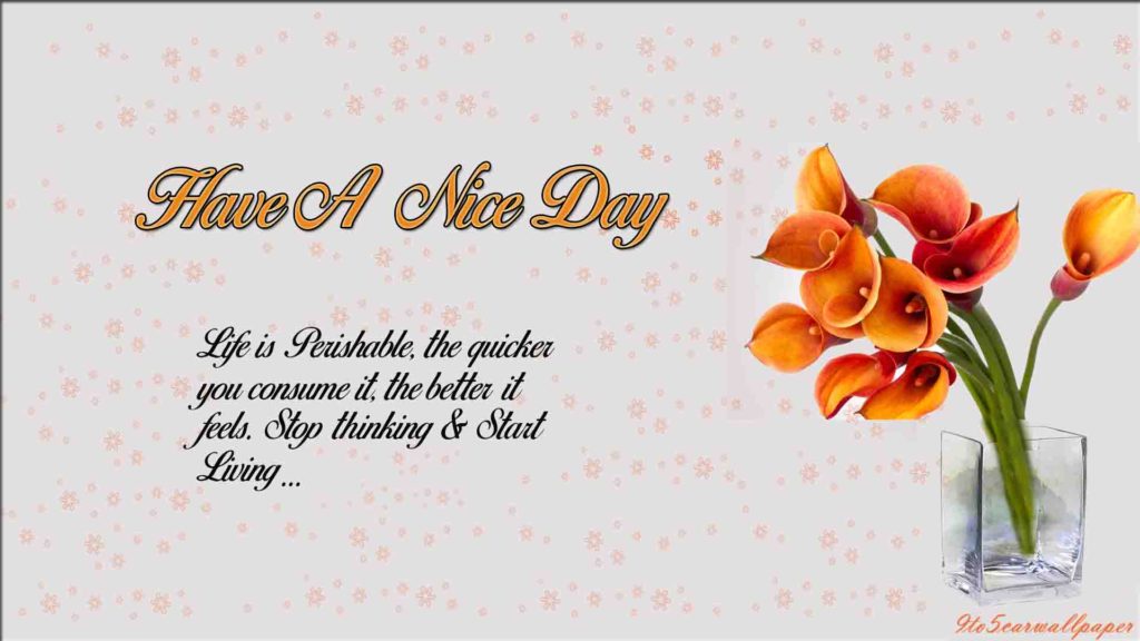 Calligraphy - HD Wallpaper 