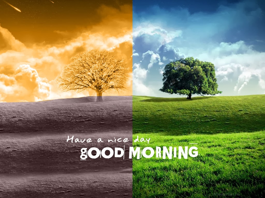 Good Morning Wallpapers, Good Morning Images, Good - Environment Day Good Morning - HD Wallpaper 