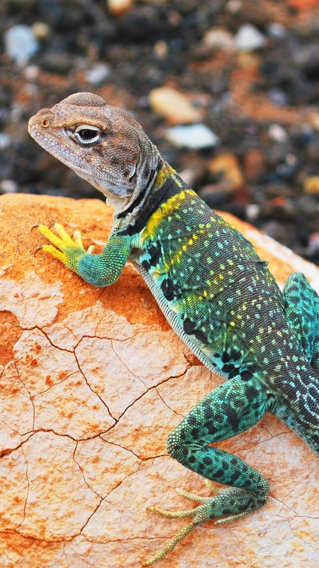 Choose Your Location - HD Wallpaper 