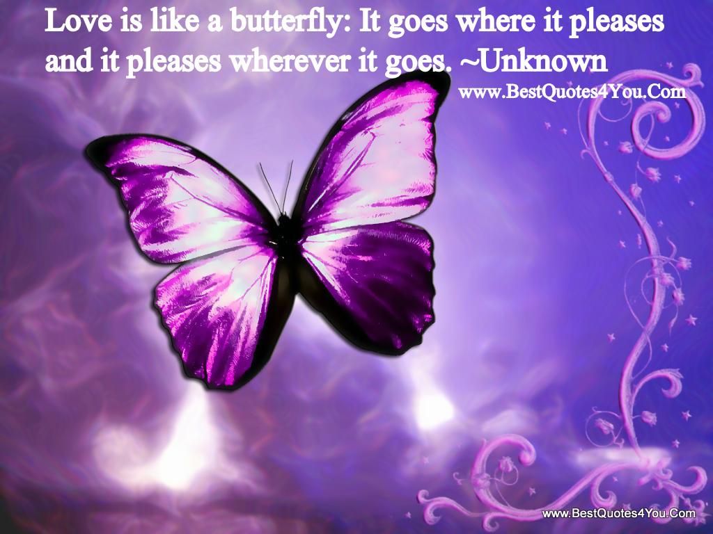Butterfly With Love Quotes - HD Wallpaper 
