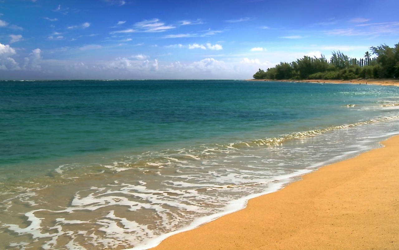 Hawaii Five Cities Beach Wallpapers - Ocean Beach Hawaii Beautiful - HD Wallpaper 