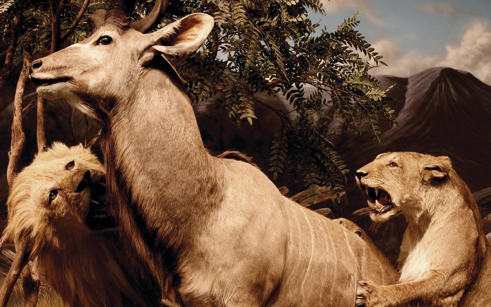 Interpol Our Love To Admire Album Cover - HD Wallpaper 