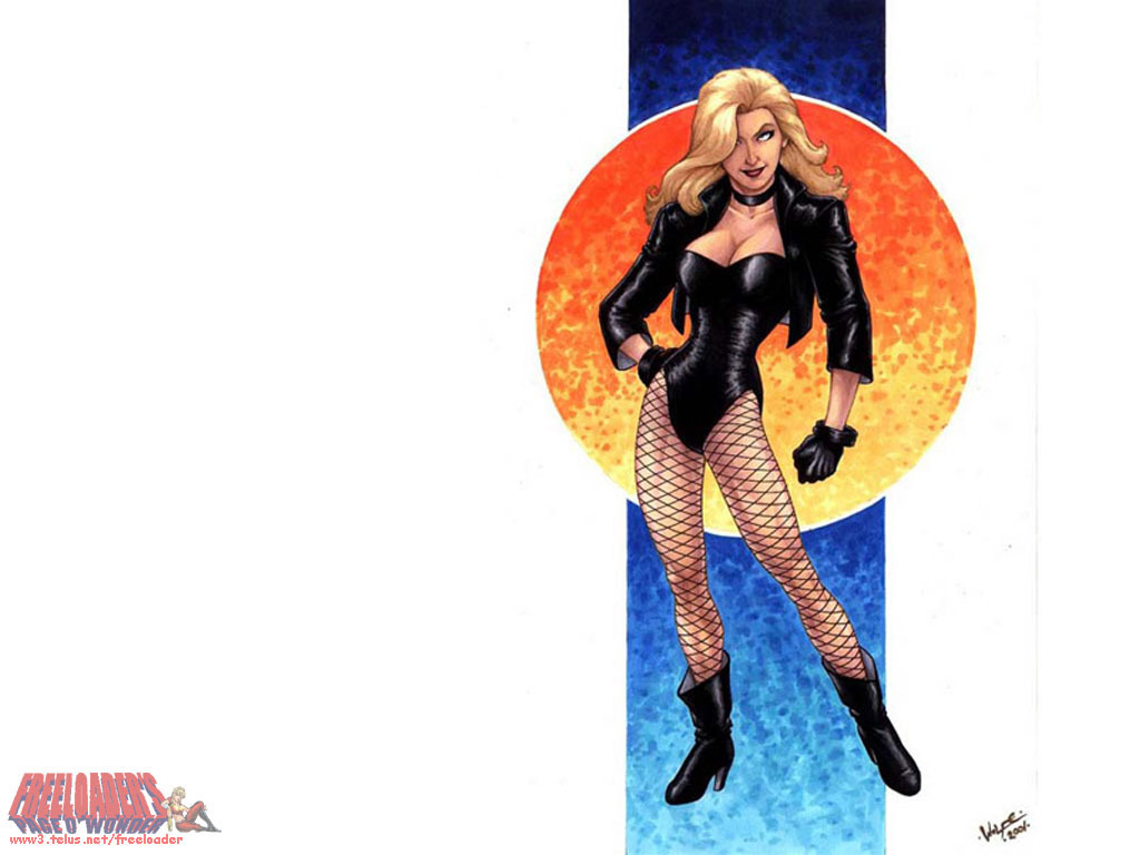 Black Canary - HD Wallpaper 