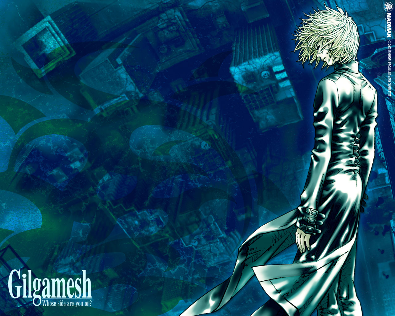 Gilgamesh Anime - HD Wallpaper 