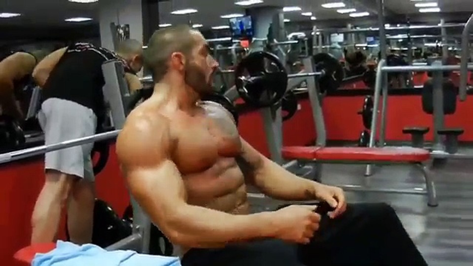 Bodybuilding - HD Wallpaper 
