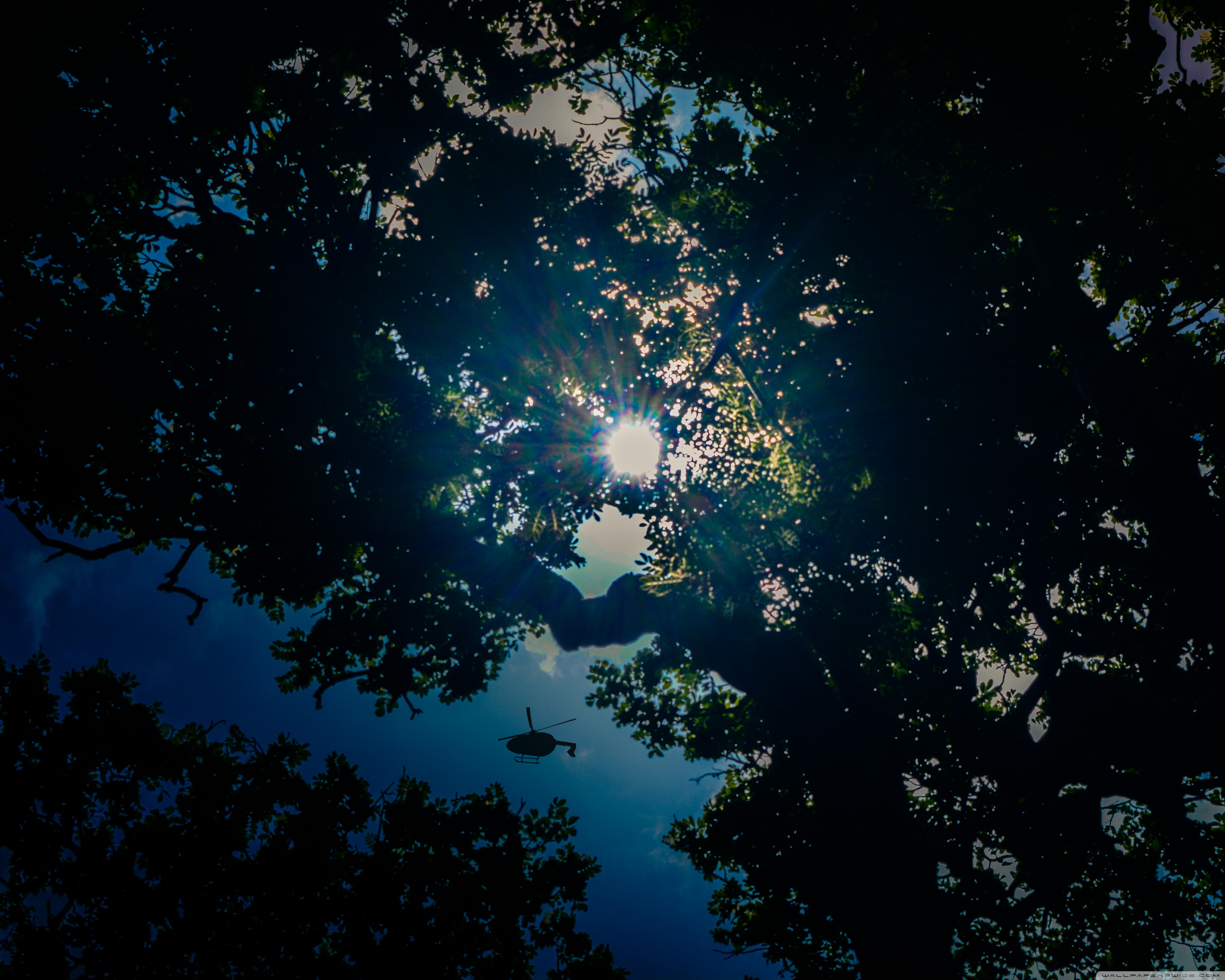 Ultra-high-definition Television - HD Wallpaper 