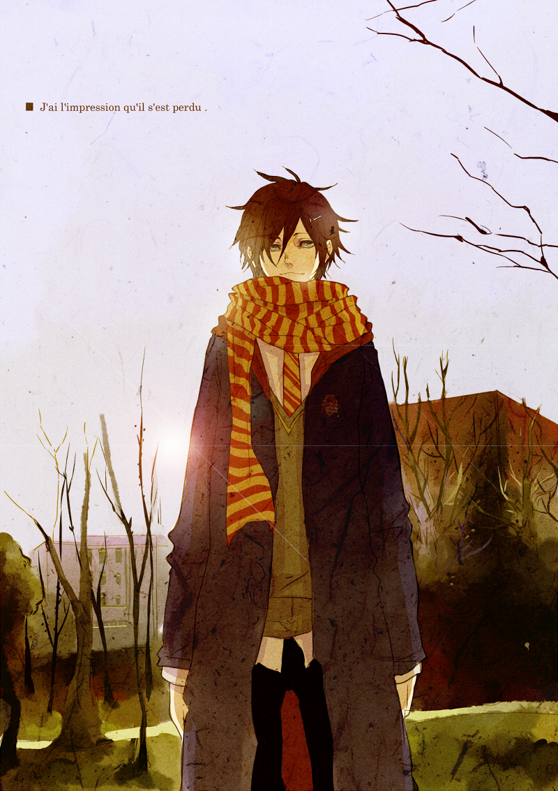 Sirius Black Zerochan - HD Wallpaper 