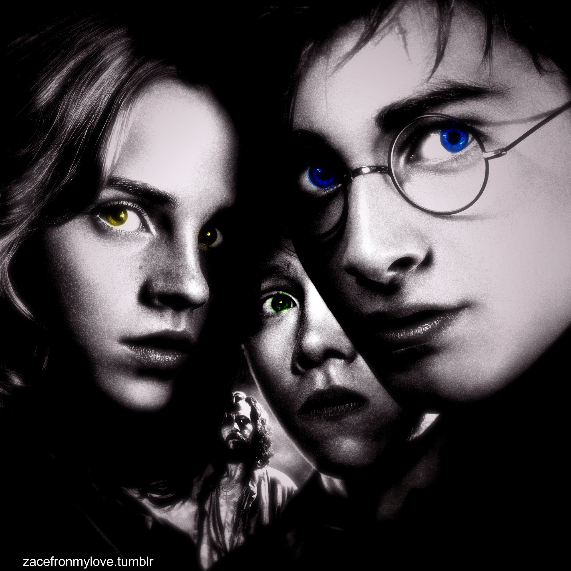 Harry Potter And The Prisoner Of Azkaban- Golden Trio - Harry Potter Y Sirius Black - HD Wallpaper 