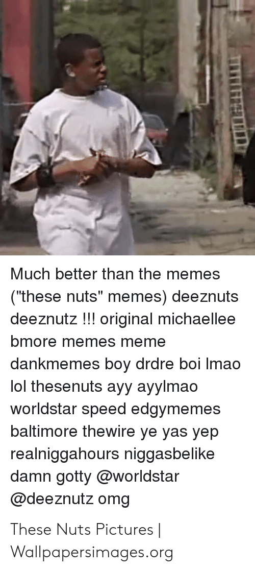 Much Better Than The Memes - Honeybee - HD Wallpaper 