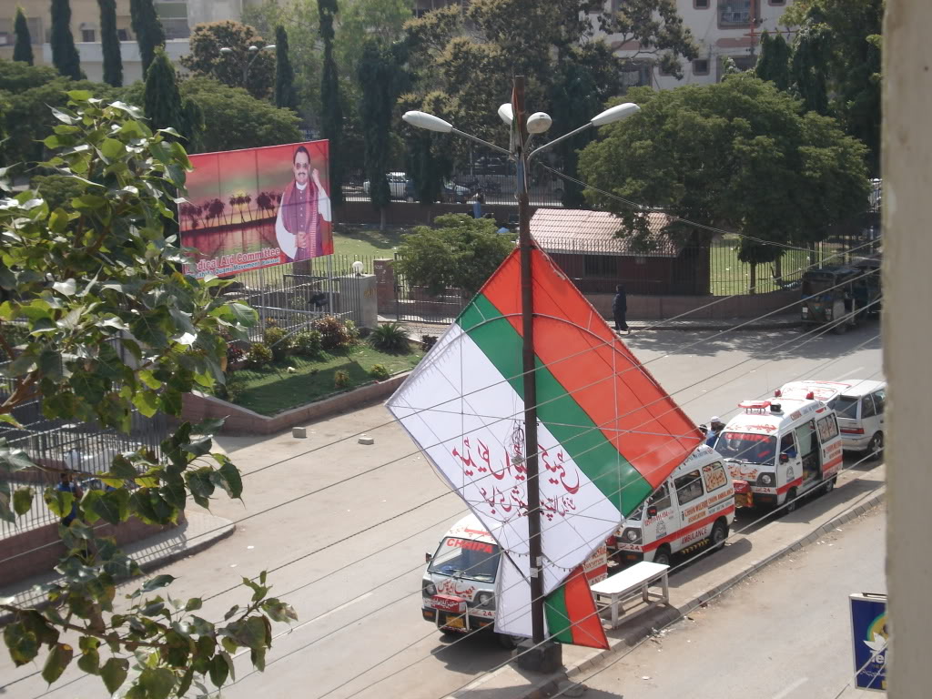 تصویر - Tree - HD Wallpaper 