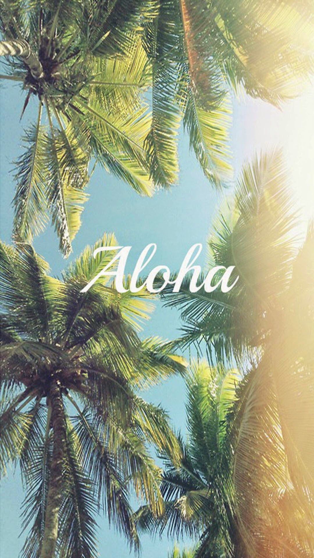 Palm Tree Wallpaper Iphone - HD Wallpaper 