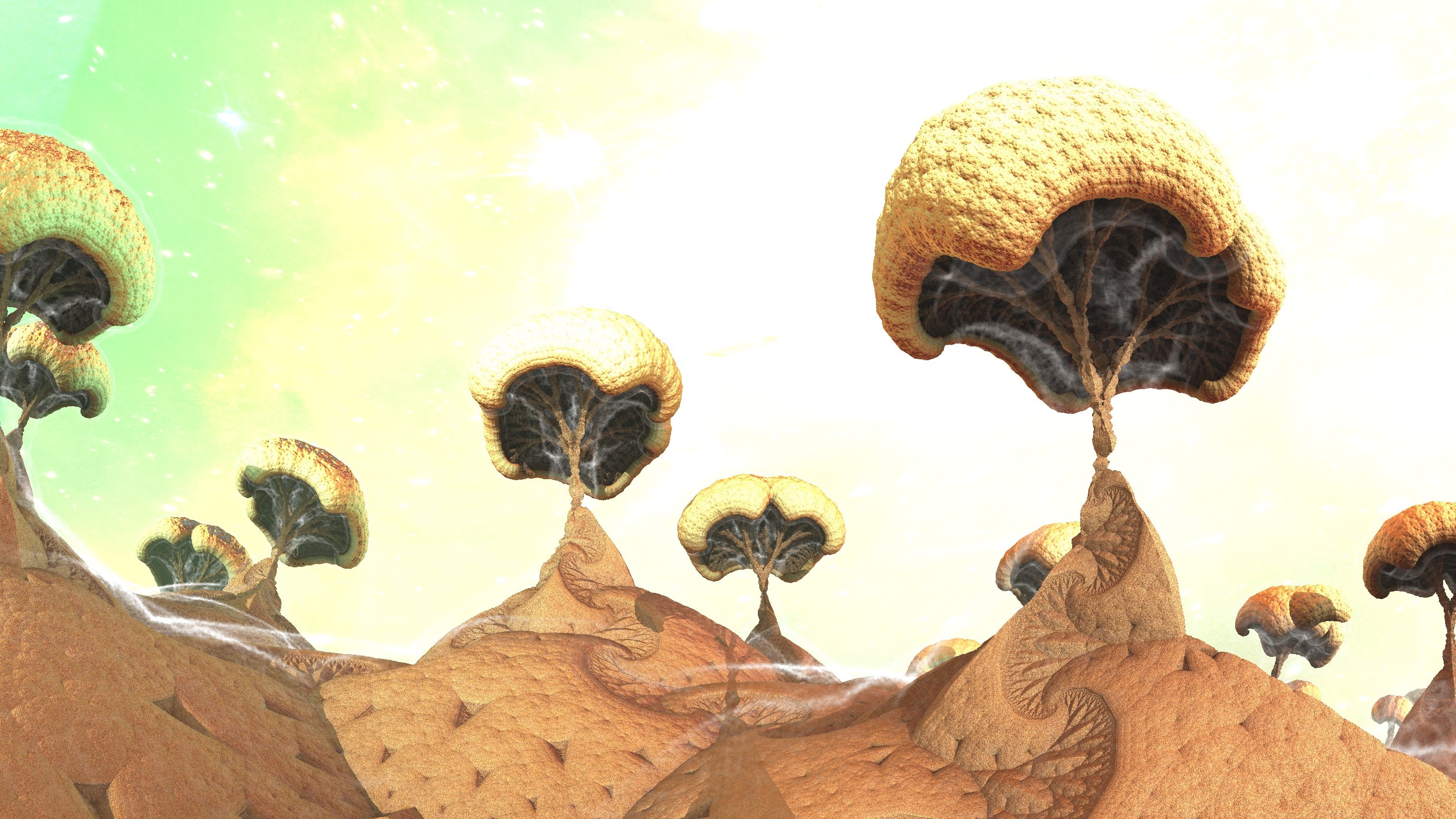 Variations On The Broccoli Planet 3 Wallpaper - Macro Photography - HD Wallpaper 