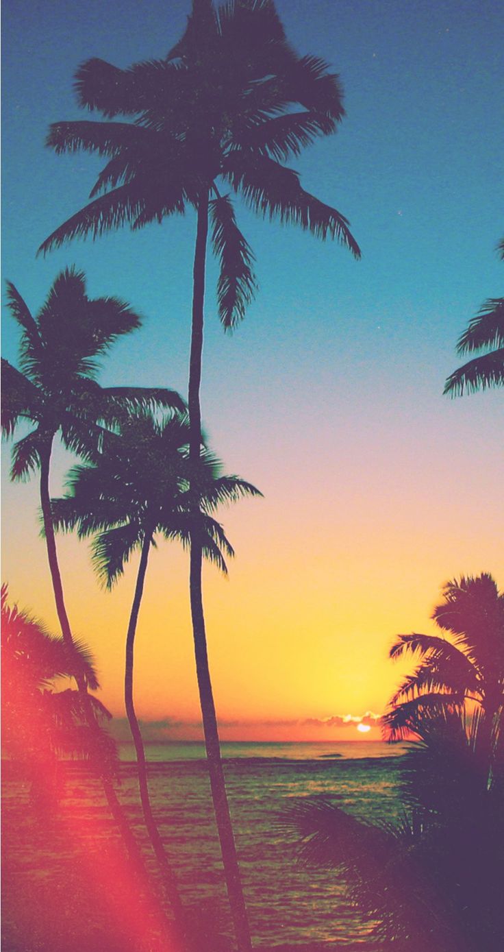 Wallpaper Hipster Scenery Wallpaper - Good Wallpapers For Phone - 736x1389 Wallpaper Wallpaper Hipster Scenery Wallpaper - Good Wallpapers For Phone - 736x1389 Wallpaper