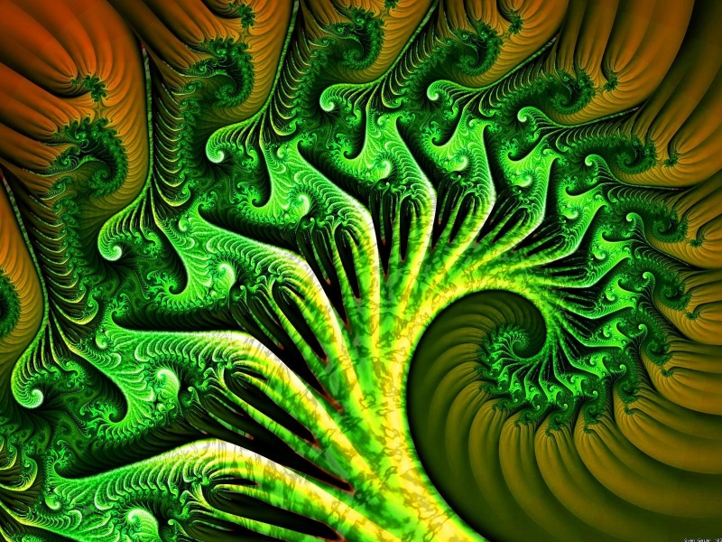Broccoli Fractal - HD Wallpaper 