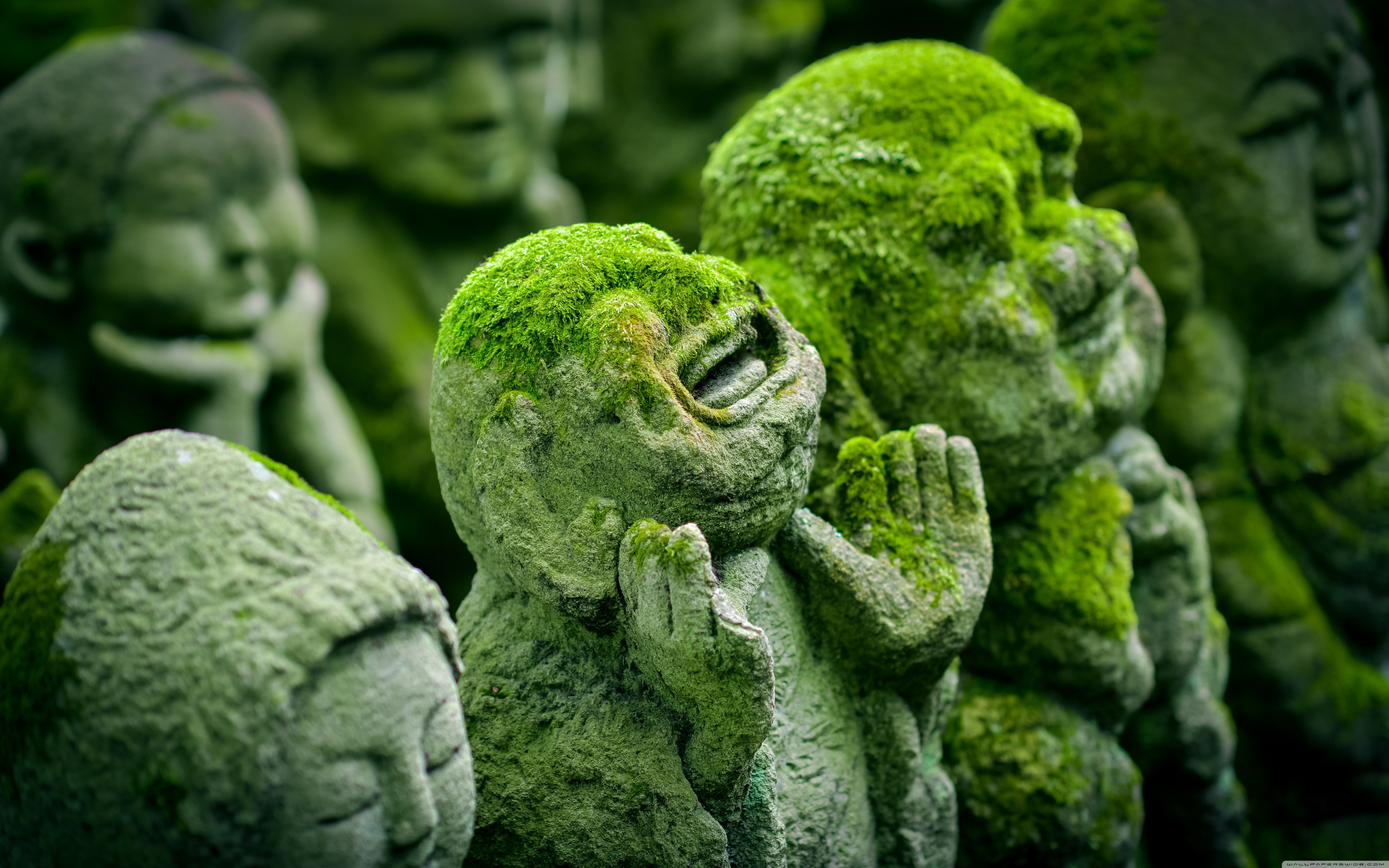 Will You See In Japan - HD Wallpaper 