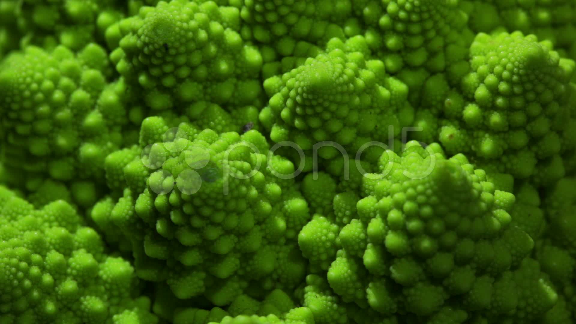 Romanesco Broccoli - HD Wallpaper 