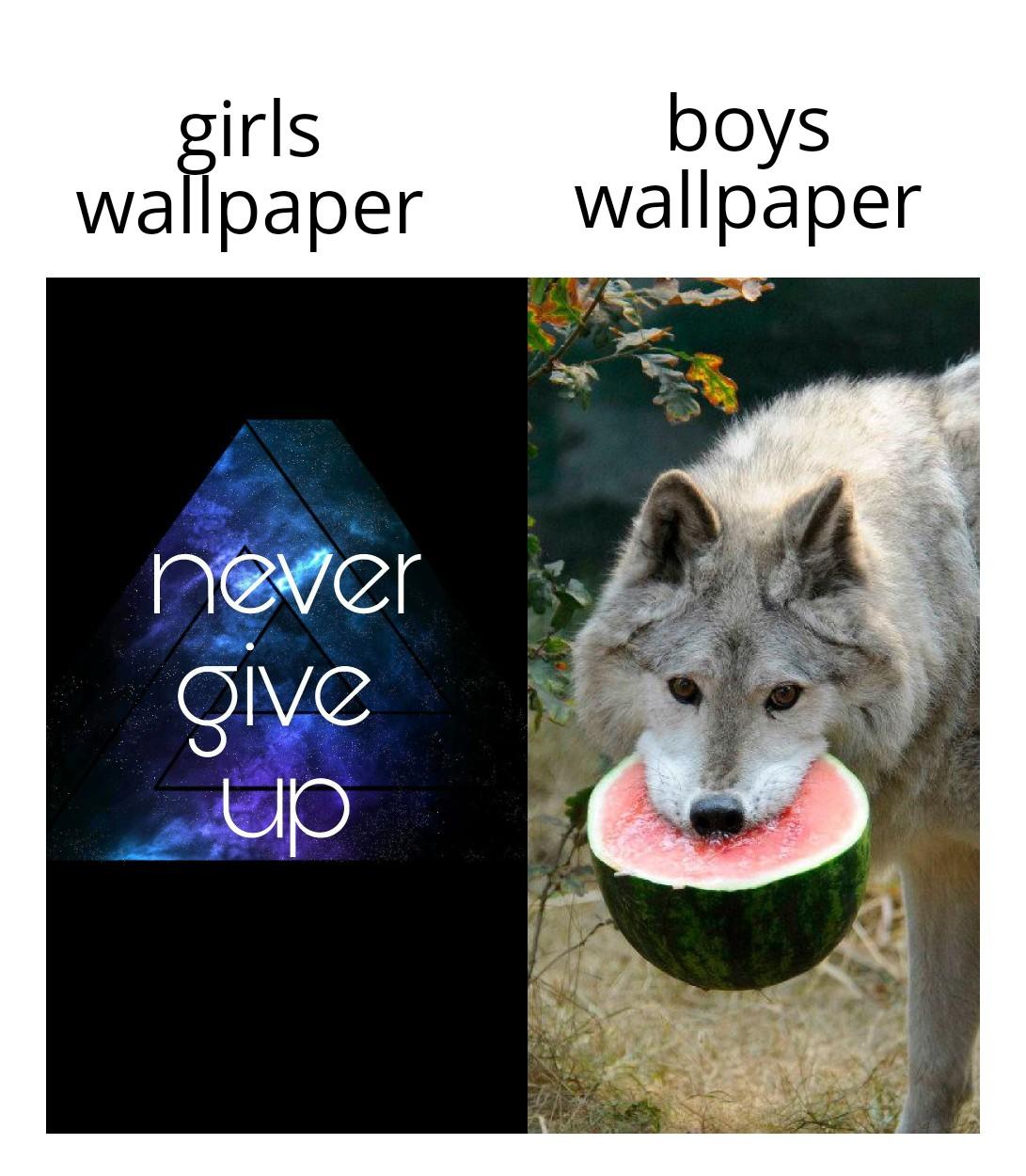 Boys Wallpaper Girls Wallpaper Never Give Dn Text - Girls Wallpaper Meme Vs Boys - HD Wallpaper 