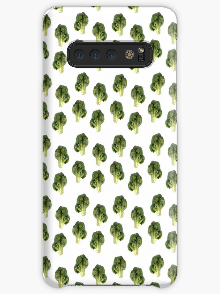 Tortoise - HD Wallpaper 