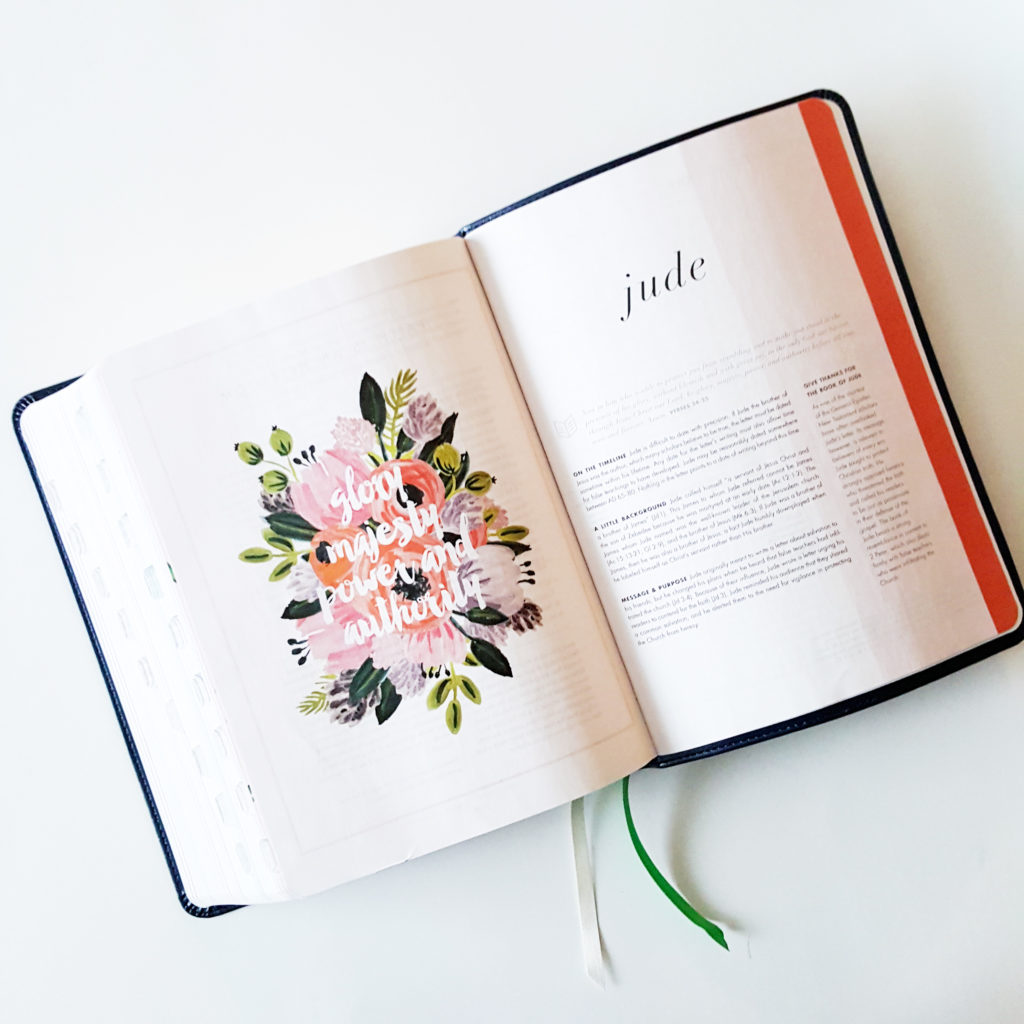 She Reads Truth Bible Reviews - HD Wallpaper 