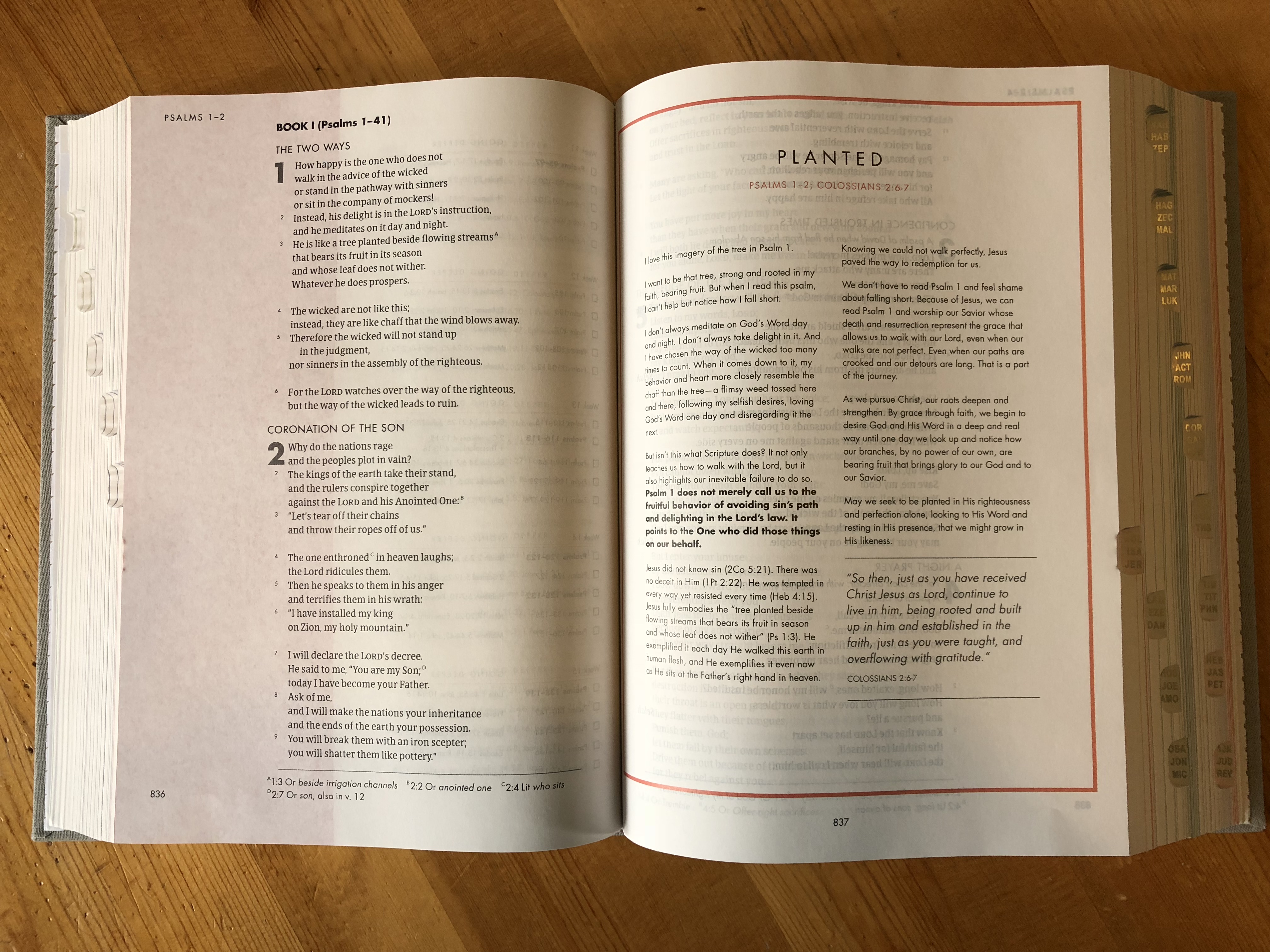 She Reads Truth Bible Inside - HD Wallpaper 