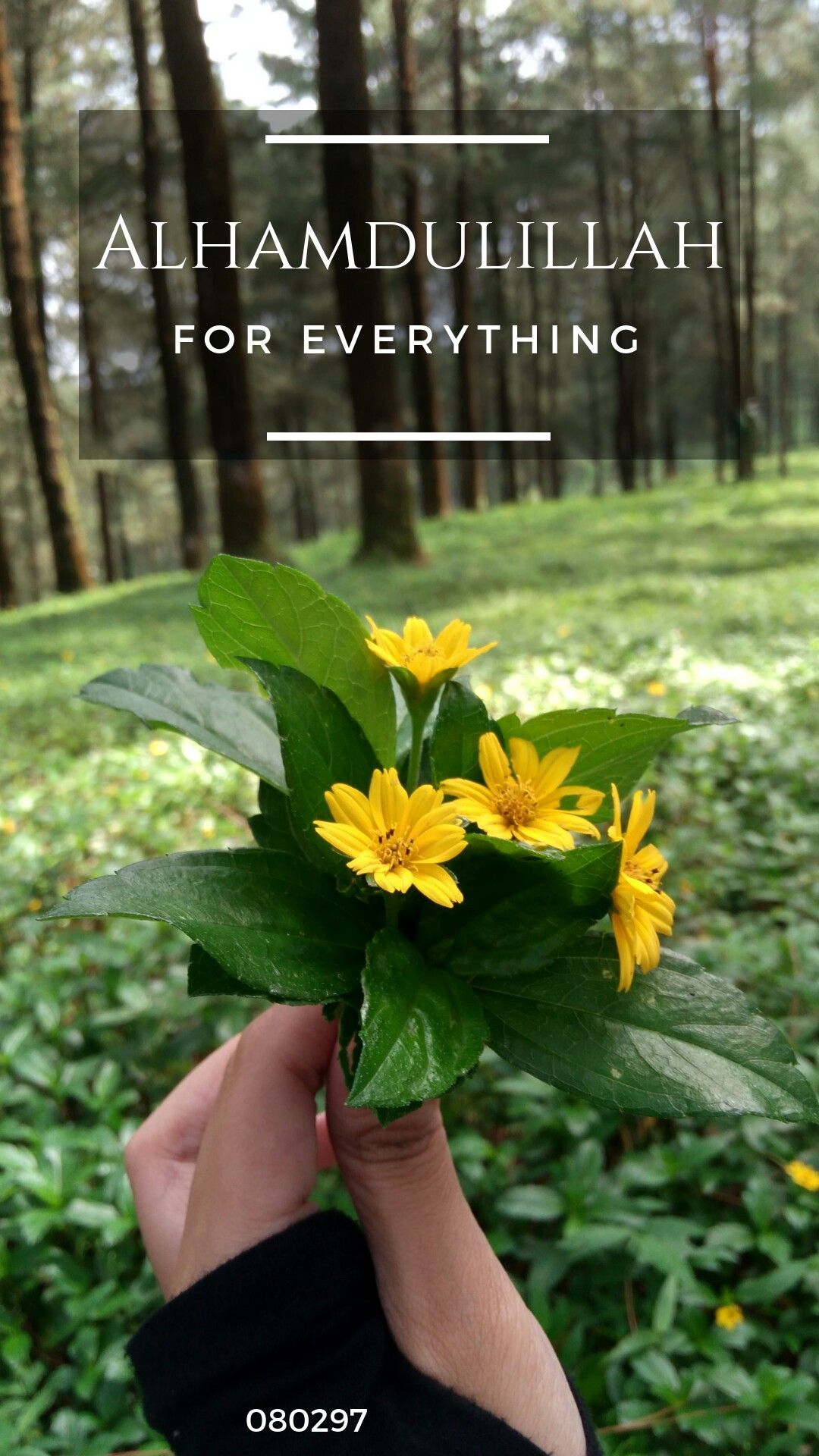 Alhamdulillah For Everything Wallpaper Free Download - 1080x1920 Wallpaper Alhamdulillah For Everything Wallpaper Free Download - 1080x1920 Wallpaper