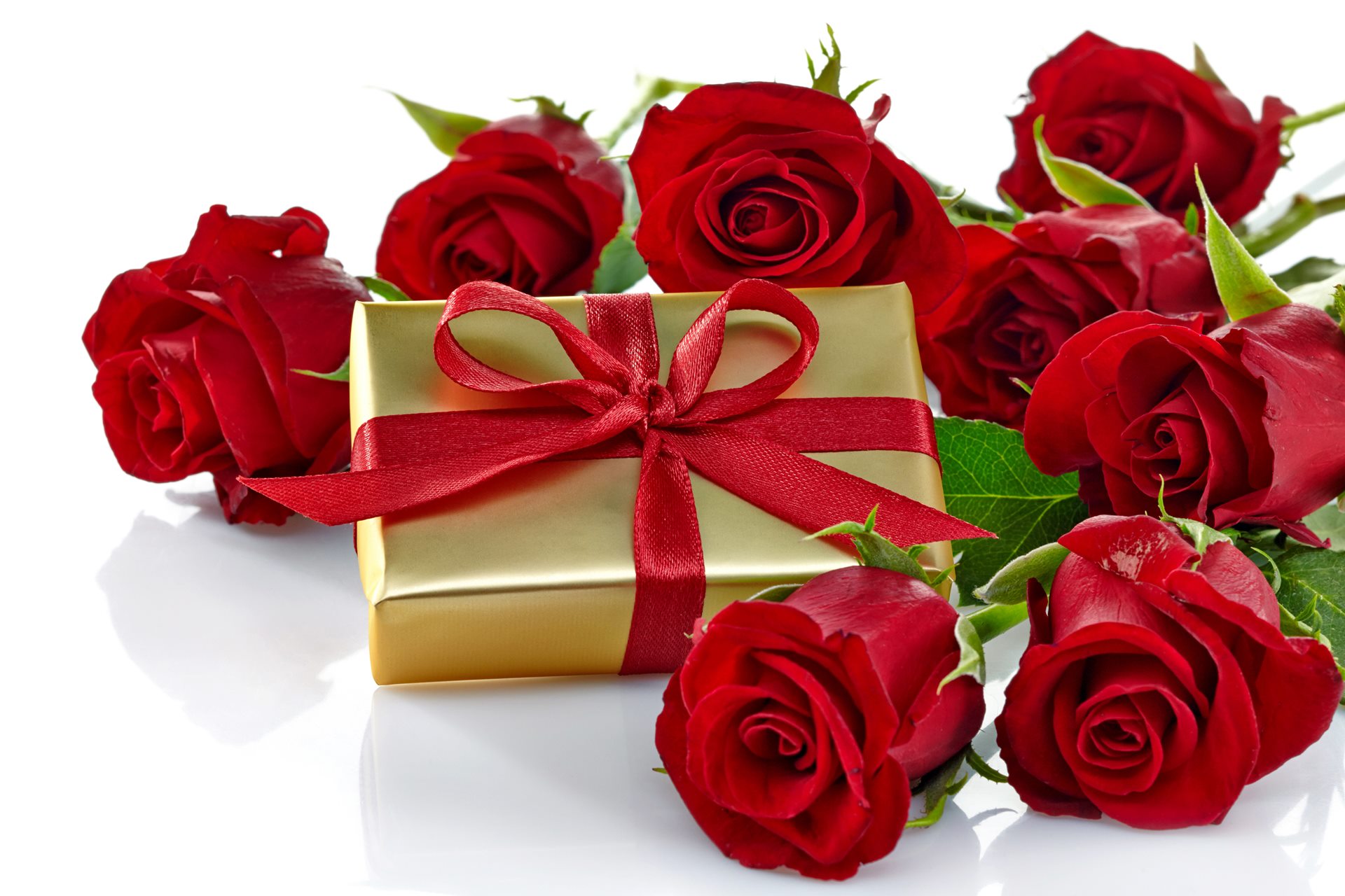 Rose - HD Wallpaper 