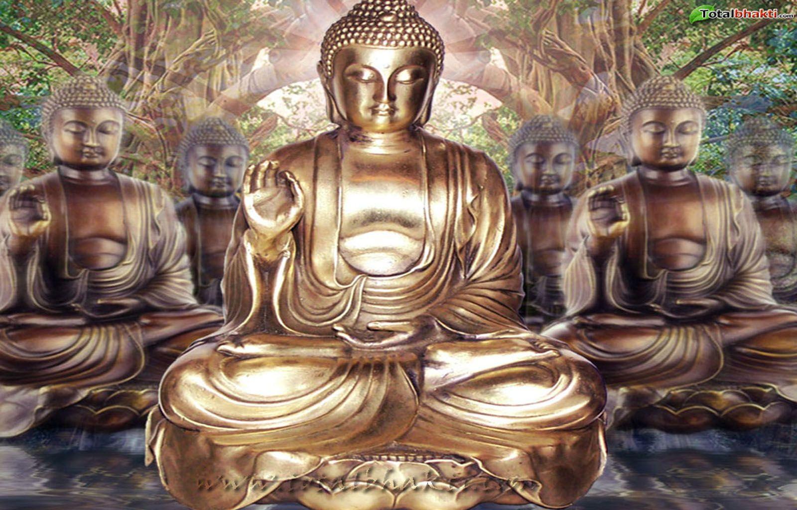 Siddharta Gautama Sakyamuni Buddha - HD Wallpaper 