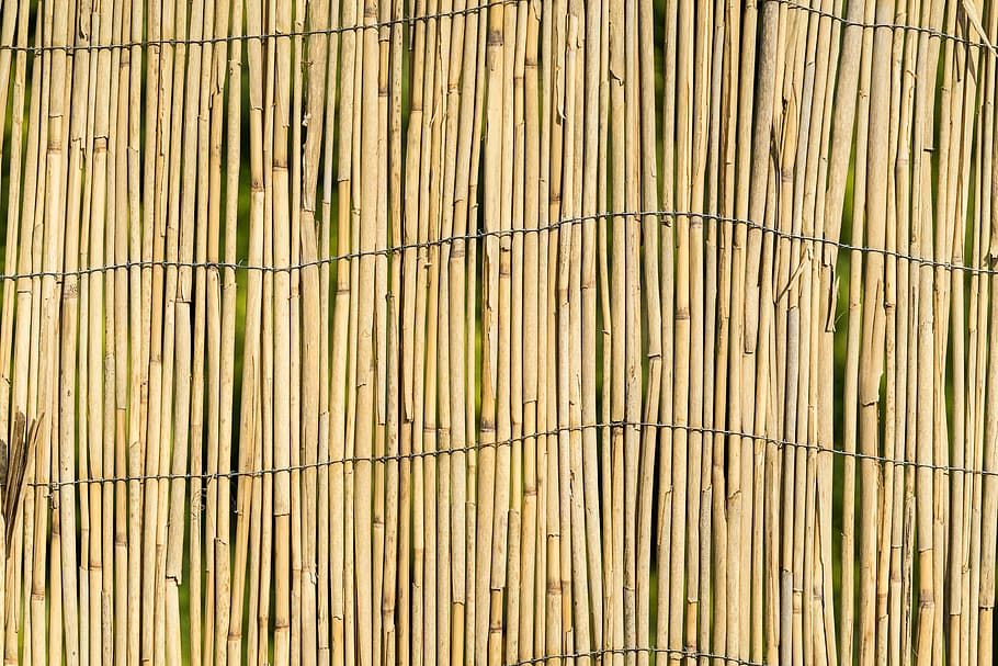 Garden Bamboo Wall Fence Texture Background, Pattern, - พื้น หลัง ไม้ ไผ่ ใหญ่ - HD Wallpaper 