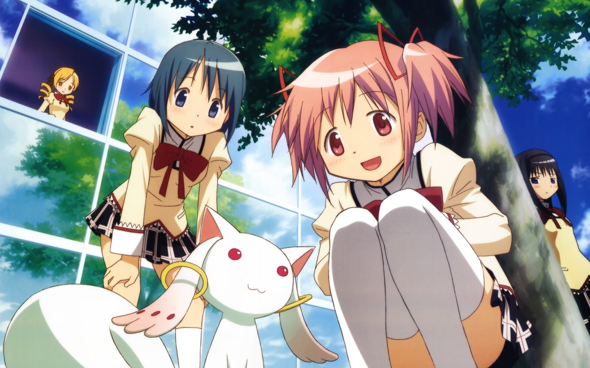 Puella Magi Madoka Magica Hd Wallpapers - Anime Cute Panty Shots - HD Wallpaper 