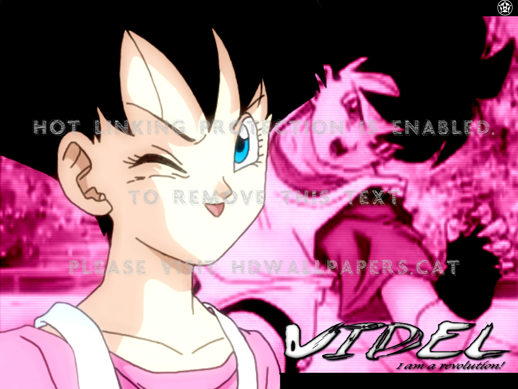 Videl Dbz Wallpaper Anime Dragonball - Dragon Ball Videl - HD Wallpaper 