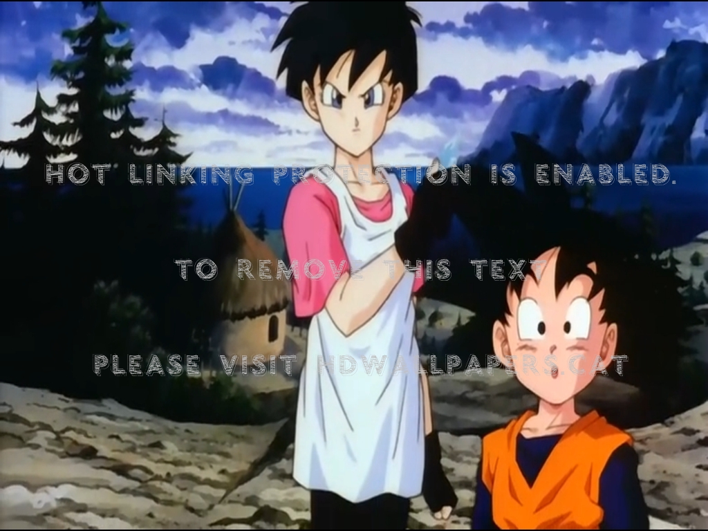 Videl And Goten Girl Blue Eyes Dragonball Z - Hija De Mister Satan - HD Wallpaper 