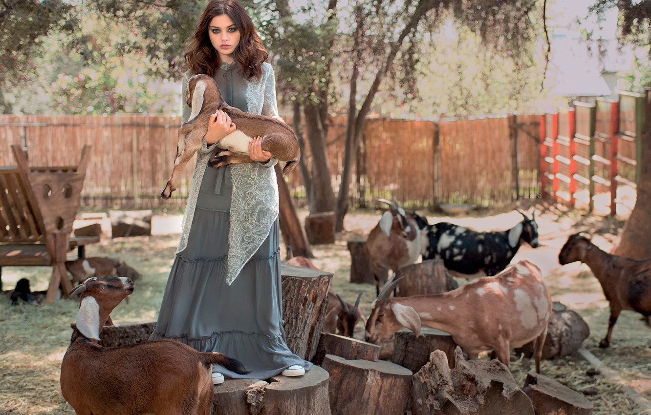 Photo Wallpaper Photoshoot, Grey, Goats, Odeya Rush - Photoshoot With Goats - HD Wallpaper 