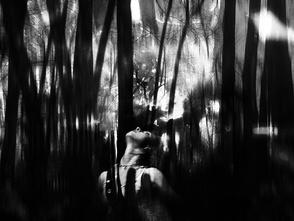 Monochrome - HD Wallpaper 