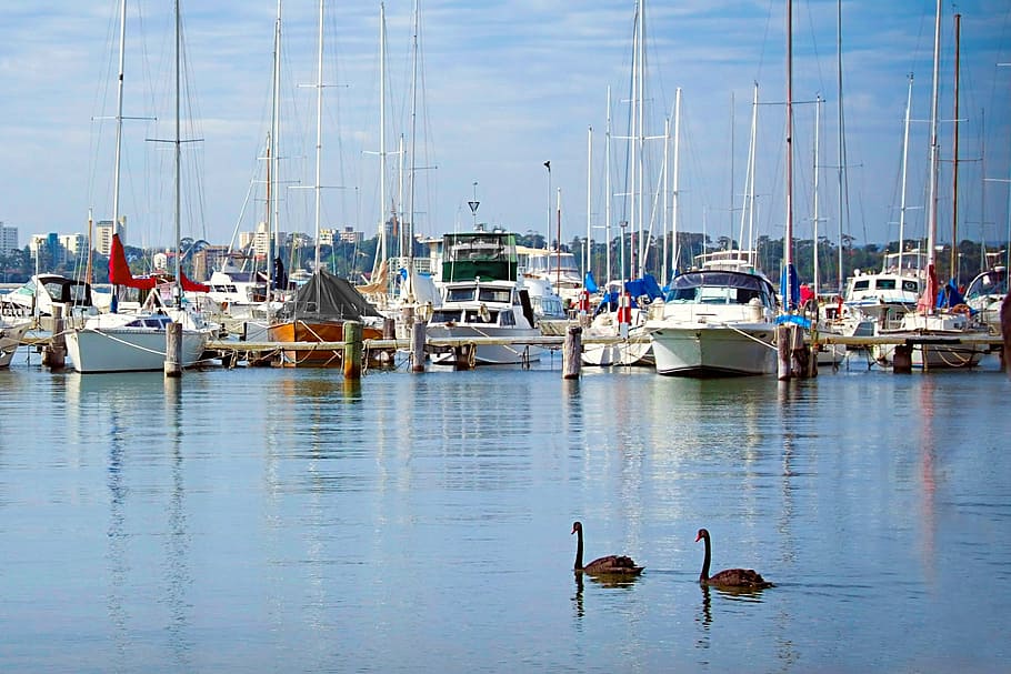 Matilda Bay Wa Right, Boats, Blue, Reflections, Water, - Matilda Bay Boat Harbour - HD Wallpaper 