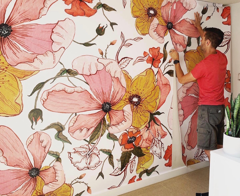 Hibiscus - HD Wallpaper 