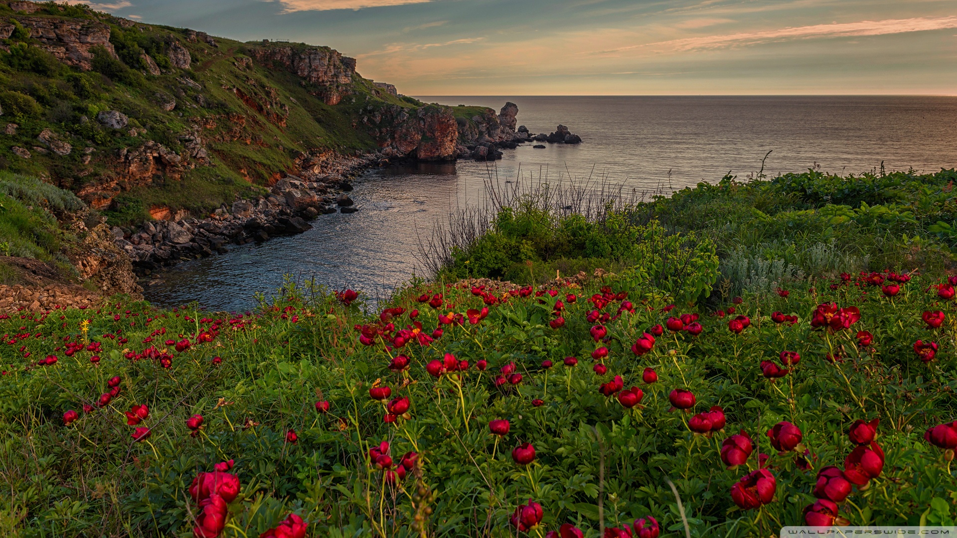 Black Sea - HD Wallpaper 
