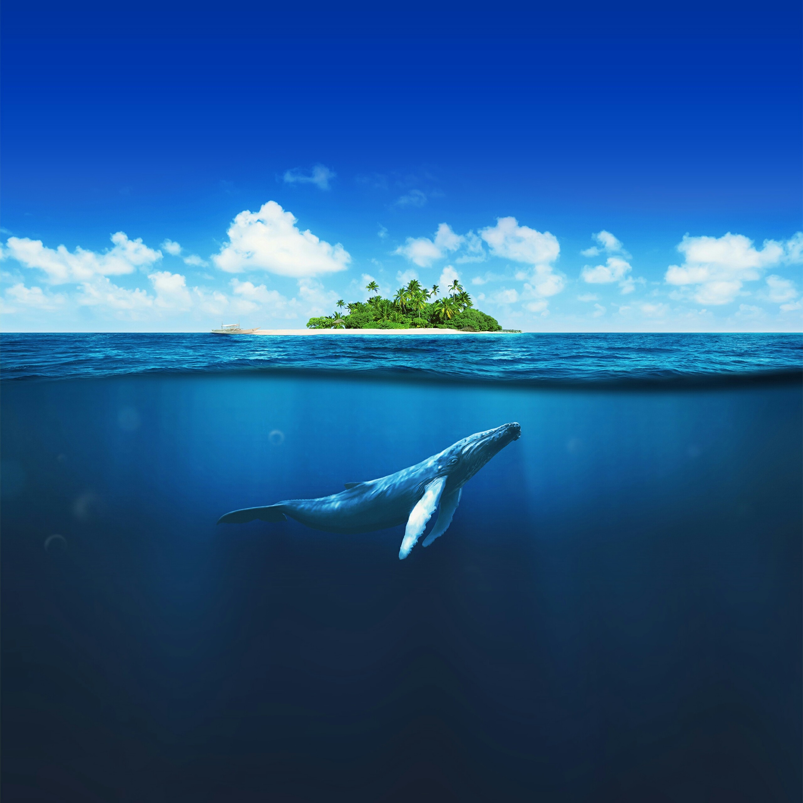 Under The Ocean Wallpaper - خلفيات المحيط - HD Wallpaper 
