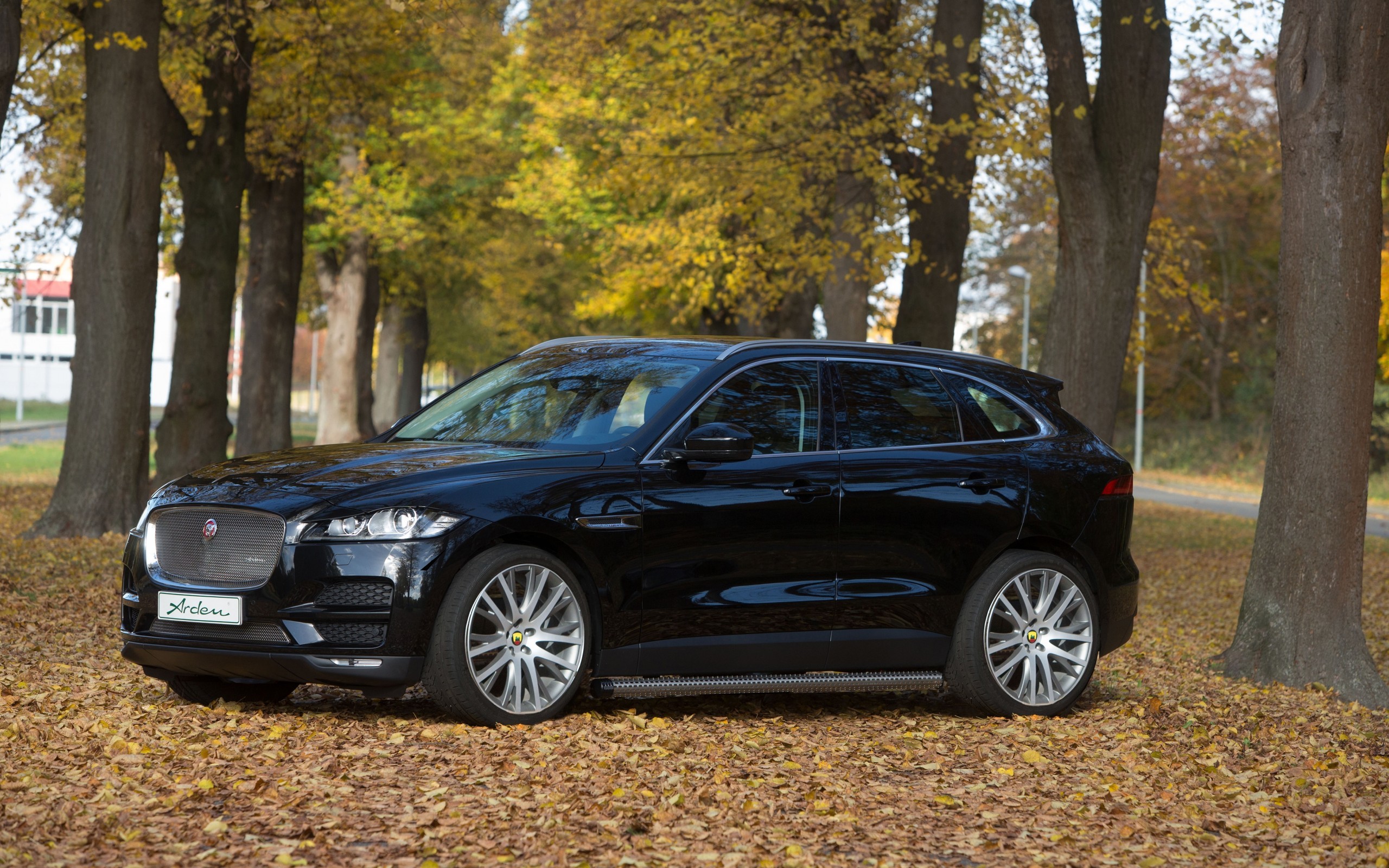 Jaguar F-pace, Black, Side View, Autumn, Leaves, Cars - Black Jaguar Car Hd - HD Wallpaper 